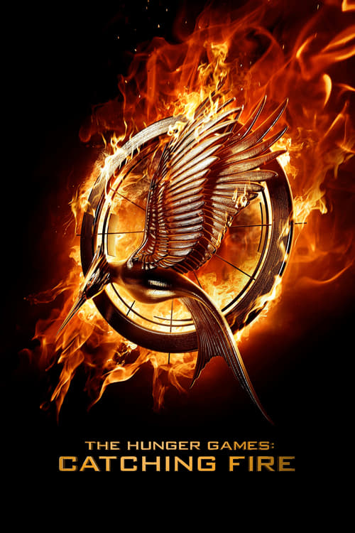 Grootschalige poster van The Hunger Games: Catching Fire