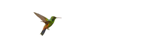 The Hummingbird