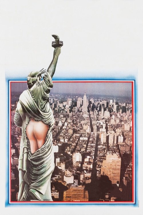 The Decline of the American Empire poster