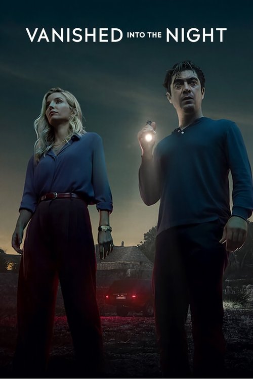 Vanished into the Night Poster