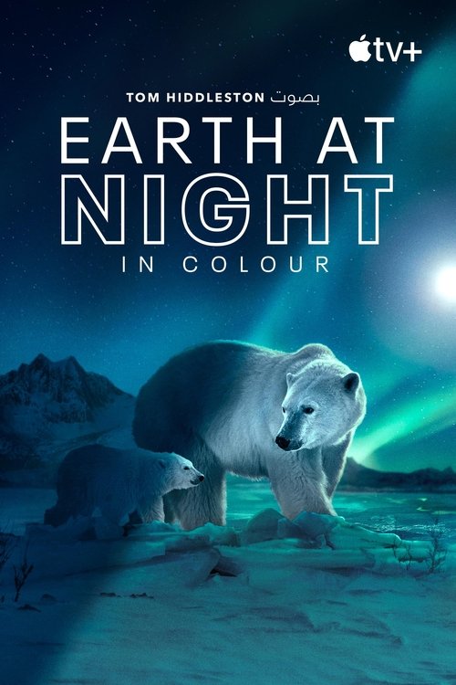 Earth at Night in Colour