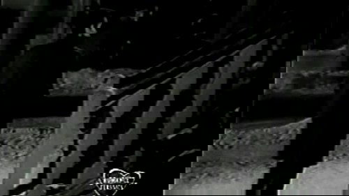 Image de l'épisode 80