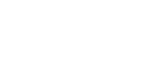 Partner Track official logo