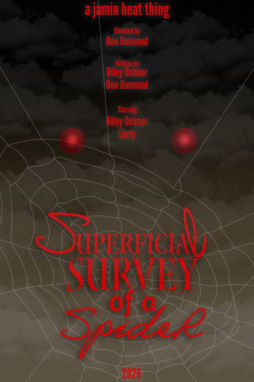 Cartell de Superficial Survey of a Spider