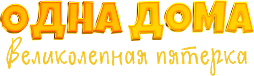 Одна дома. Великолепная пятерка
