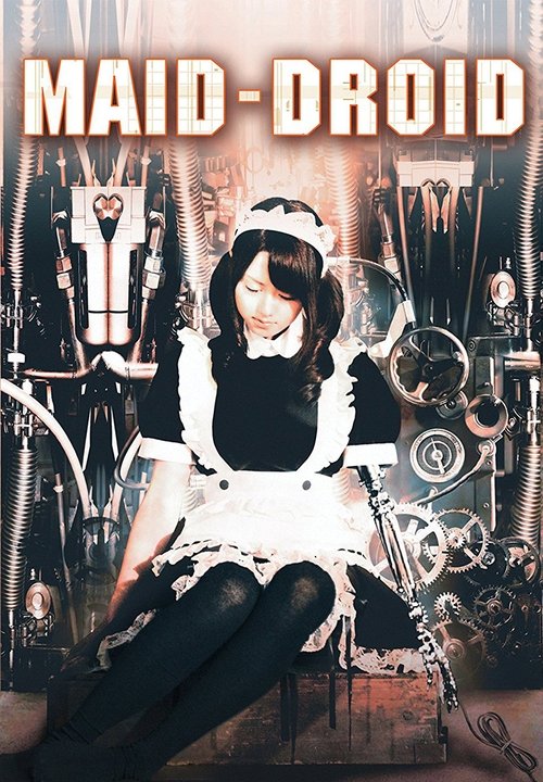 MAID-DROID 2008