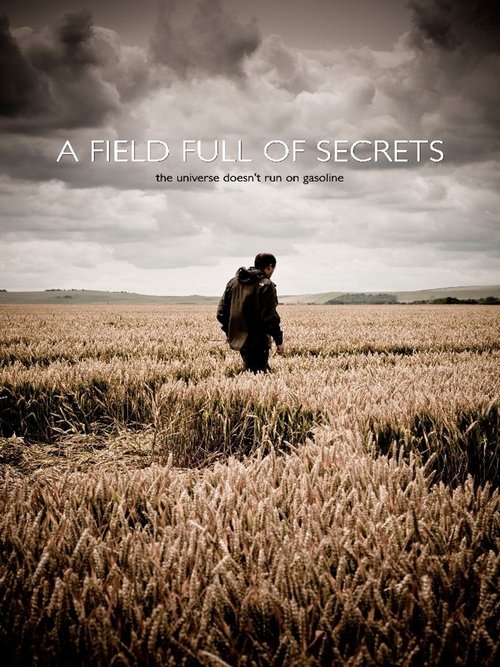 A Field Full of Secrets cover
