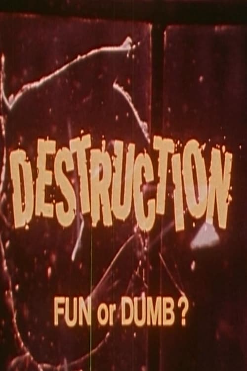Destruction: Fun or Dumb? (1976) poster
