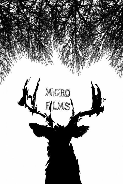 Micro Films (2017) poster