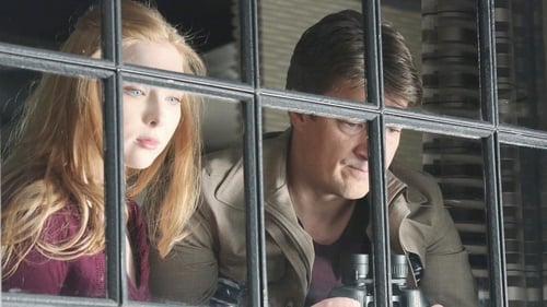 Castle: 5×19