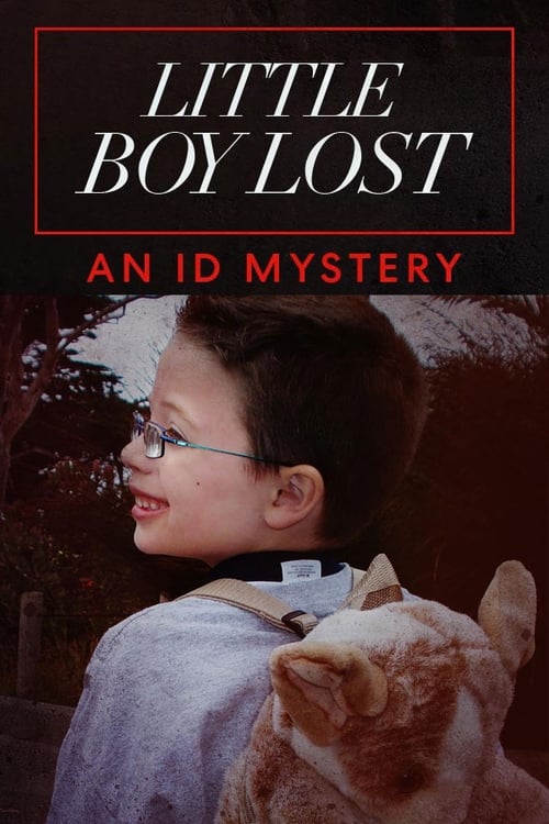 Little Boy Lost: An ID Mystery (2020)