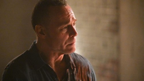 Chicago P.D.: Distrito 21: 11×13