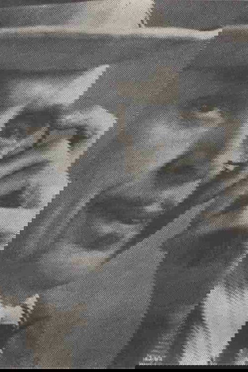 1043443