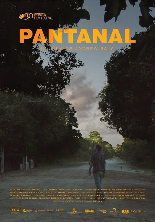 Pantanal (2014)