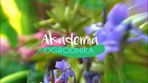 Akademia ogrodnika - Season 1 Backdrop Blur