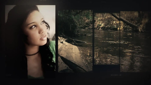 The Creek