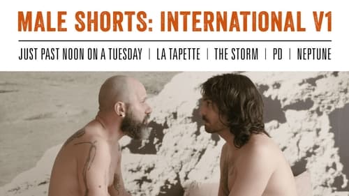 Male Shorts: International V1