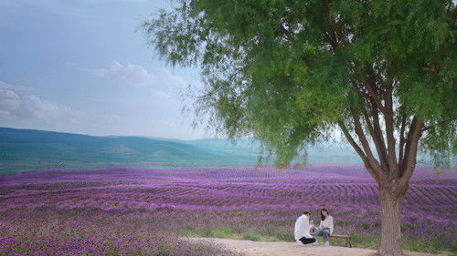 A Beautiful Lie backdrop 2