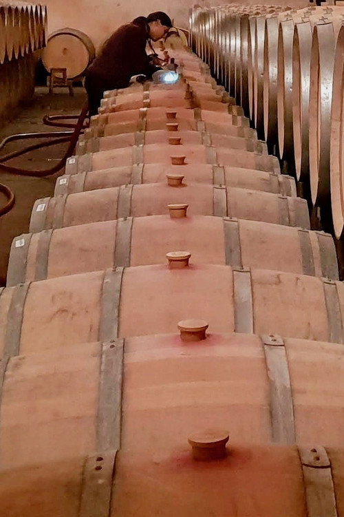 Terroir To Table: Wine Lovers' Guide to Food and Wine still 2