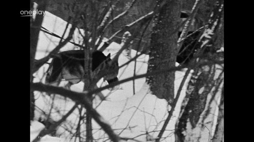 Image de l'épisode 1