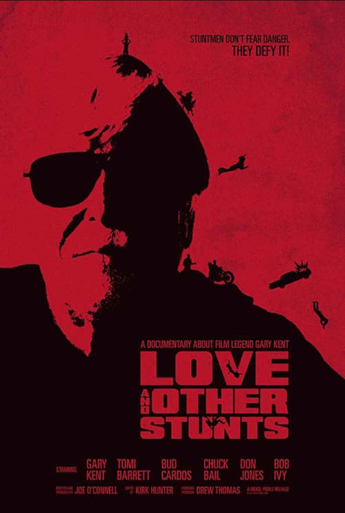 Love and Other Stunts poster