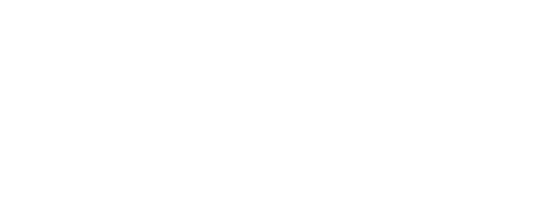 The Net