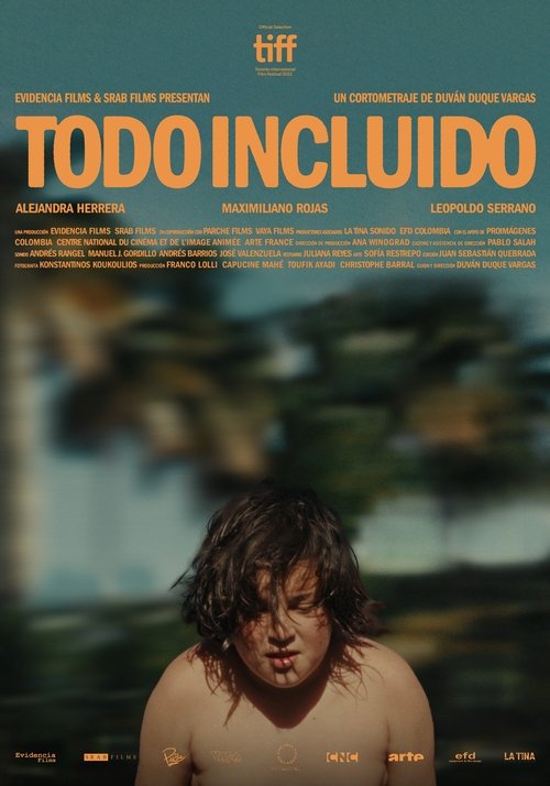 Todo incluido poster