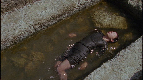 Animism sings anarchy