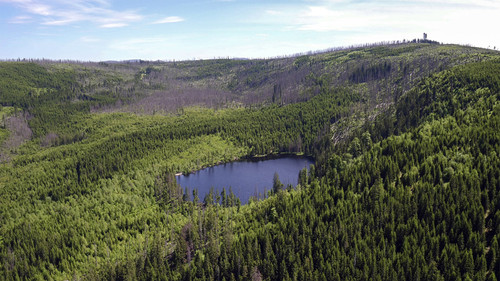 Image de l'épisode 10