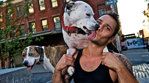 Dogs In The City