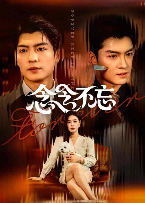 念念不忘 Poster
