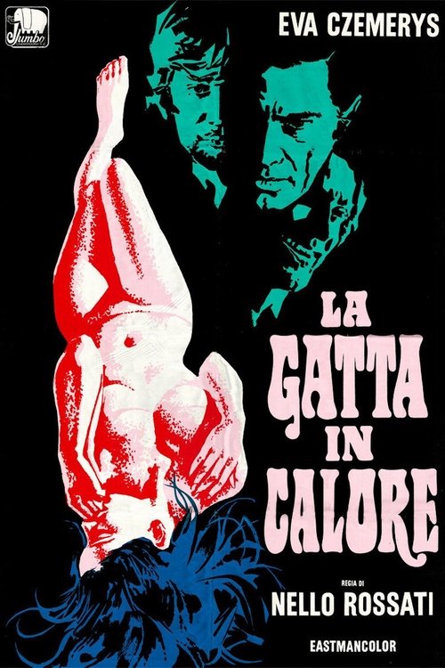 La gatta in calore 1972