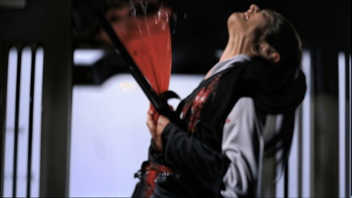 Have Sword, Will Travel