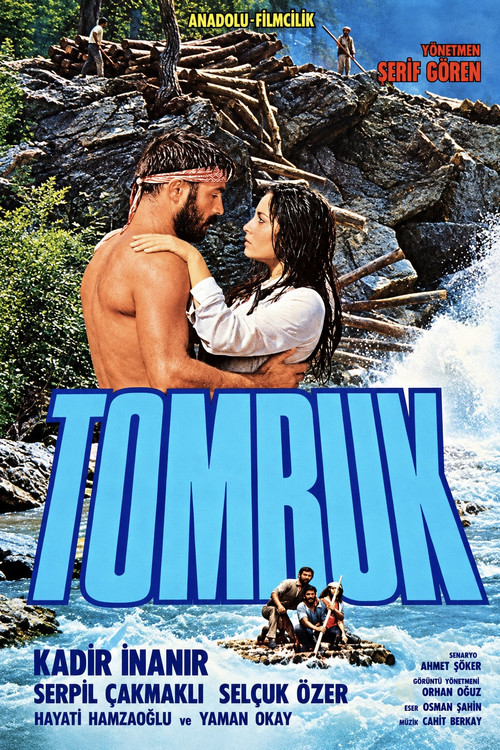 Tomruk poster