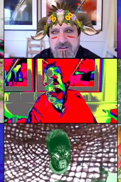 Zoom Meetings (with myself) (2020) poster