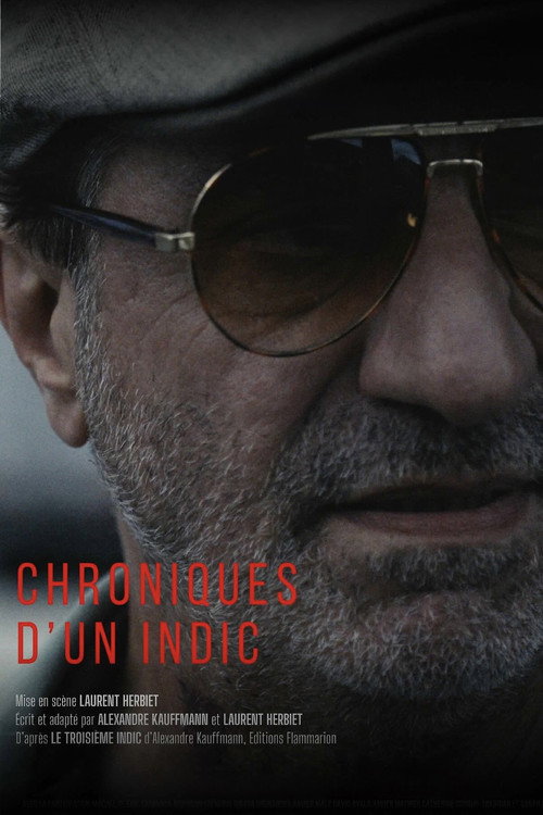 Chroniques d'un indic