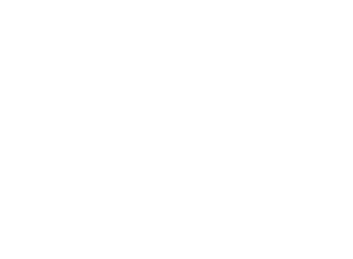 .dog