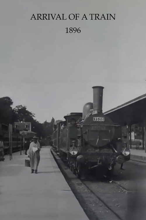 Arrival of a Train