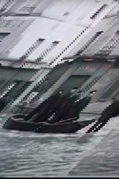 The Seine Flood poster