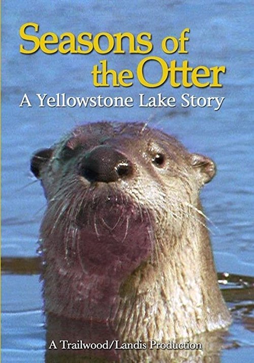 Movie poster of Seasons of the Otter