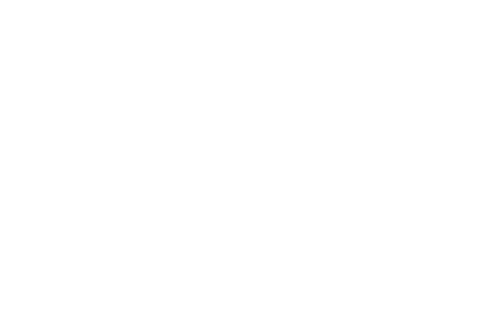 Muchos hijos, un mono y un castillo