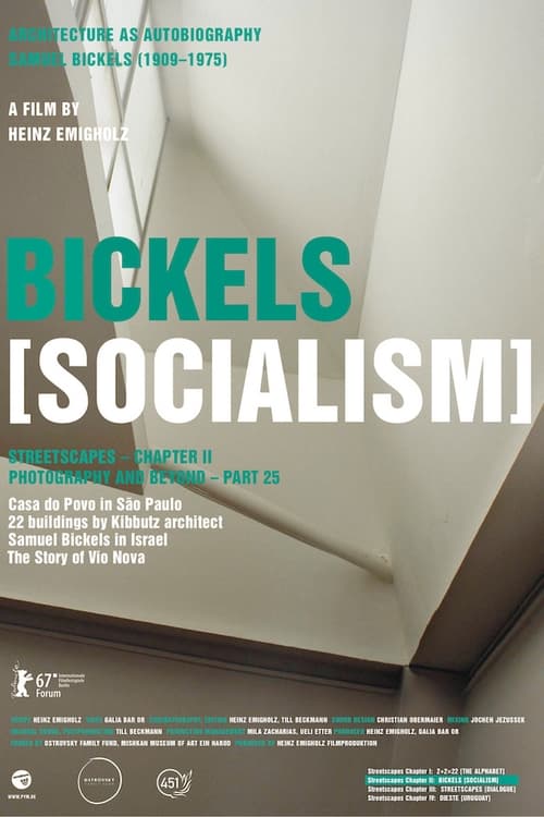 Bickels [Socialism] Movie Poster Image