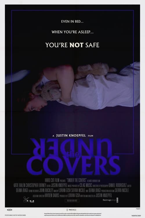 Poster do filme Under the Covers