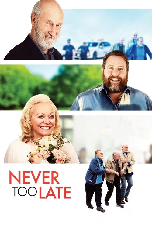 Never Too Late 2020 Never Too Late 2020