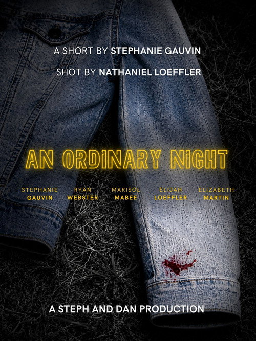 An Ordinary Night