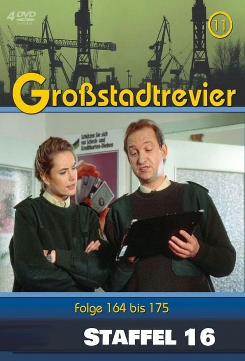 Where to stream Großstadtrevier Season 16