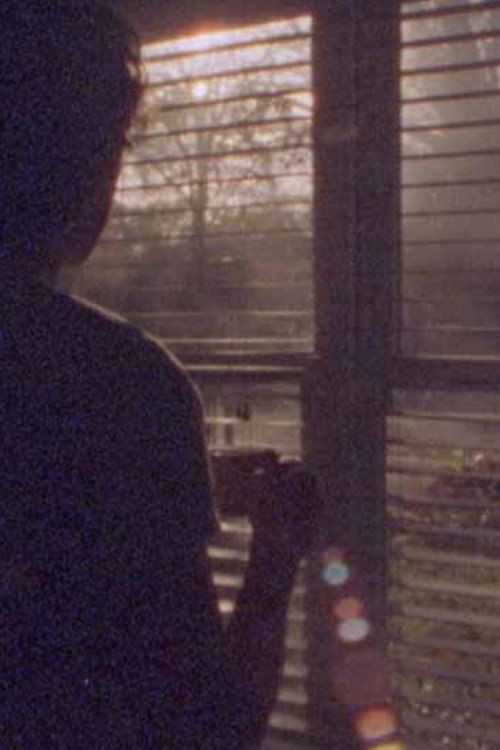 All The Leaves Are Brown poster