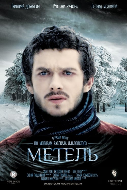 Метель (2014) poster
