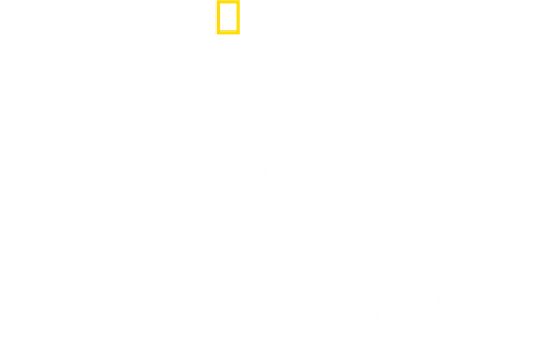Maui Shark Mystery