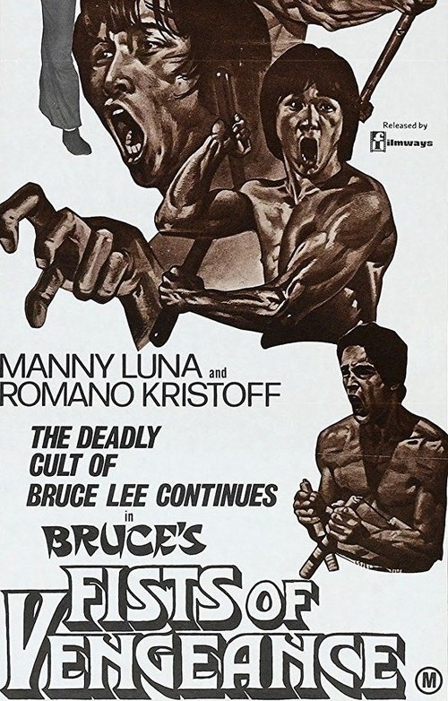 Bruce's Fists Of Vengeance poster